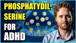 Phosphatidylserine Benefits For ADHD The Research Explaining Why [upl. by Garland]