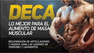 Deca Nandrolona ciclo de aumento de masa muscular decanoato de nandrolona deca durabolin [upl. by Ennavoj503]