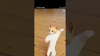 CAT AND MONKEY DANCE💃💃😂😂💃💃shorts catdance monkeydance cat catvideos billibilli meow cartoon [upl. by Euqinwahs]