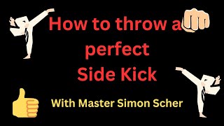 How to throw a Perfect Side Kick  by Master Simon Scher [upl. by Gladwin]