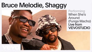 Bruce Melodie Shaggy  When Shes Around Funga Macho Live Session  Vevo [upl. by Bisset]