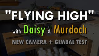 quotFlying Highquot with Daisy amp Murdoch [upl. by Norud]