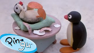 Pingu And Pinga Play Around The House  Pingu 1 Hour Compilation [upl. by Gregoire819]