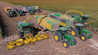 Mais 2024  2X John Deere 9500i amp 8600i  VD Tillaart Agrar  6x John Deere 6R  Maisernte  Silage [upl. by Graehl393]