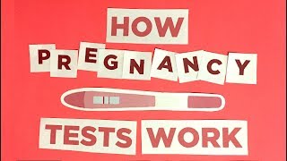 Pregnancy 101 How pregnancy tests work [upl. by Enawd]