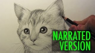 How to Draw a Kitten Narrated Step by Step [upl. by Juliana]