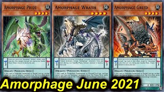 【YGOPRO】AMORPHAGE JUNE 2021 VS ALL META DECKS [upl. by Enyleve]