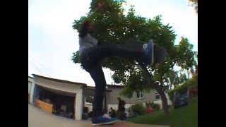 CHRIS HASLAM vs THE SK8 JERKS [upl. by Anert287]