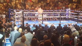 Anthony Joshua vs Andy Ruiz  Round 3 Knockdowns 060119 [upl. by Silloh129]