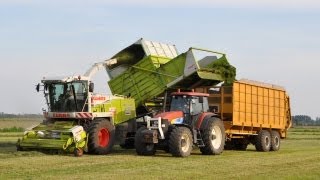 Loonwerk De Bruyne  gras hakselen  Claas Jaguar 900 Fieldshuttle [upl. by Anak]