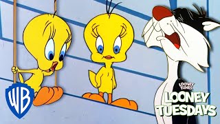 Looney Tuesdays  Did Tweety Taw a Putty Tat  Looney Tunes  WB Kids [upl. by Verras]