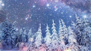 Peaceful Instrumental Christmas Music Relaxing Christmas music quotSnowy Winter Pinesquot By Tim Janis [upl. by Geldens347]