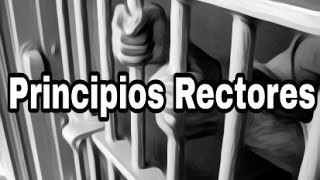 Sistema Procesal Penal Acusatorio y Oral  Principios rectores [upl. by Eylrahc]