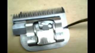 How to oil a Clipper blade [upl. by Parik]