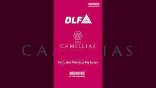 DLF Camellias Walkthrough  DLF 5  Luxury Residential Apartment  Myfollo [upl. by Merline]