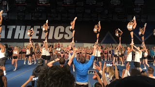 Cheer Athletics Cheetahs Worlds Showoff 2018 [upl. by Nylteak568]