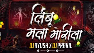 Limbu Mala Marila  Dj Ayush X Dj Pranil  AP Brothers [upl. by Eliathan441]