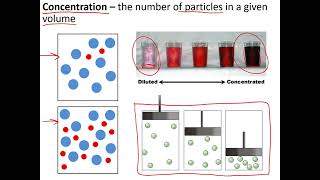 GCSE Biology  Edexcel paper 1 EVERYTHING you need to know [upl. by Bocyaj993]