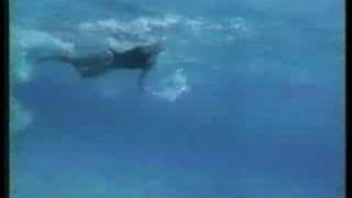 Jaws the Revenge VHS Commercial [upl. by Arron64]