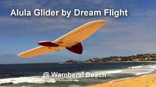 Alula Glider  Wamberal Beach [upl. by Nosrak739]