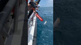 Caught Big Fish On the 100 Feet Deep Ocean fishing aquaticpets fish [upl. by Eciram]