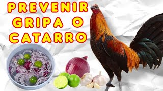 remedio para el catarro o gripe en tus aves [upl. by Sivam]