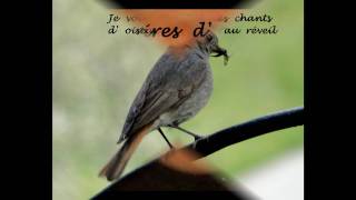 Je vous souhaite des rêvestexte de Jacques Brel citationswmv [upl. by Llorrad]