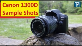 Canon 1300d Macro Photography Samples Watch in 1080p  Technoz Alam [upl. by Mharg]