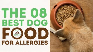 The Best Dog Food for Allergies Guide and Reviews [upl. by Tarttan]