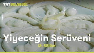 Peynir  Yiyeceğin Serüveni  TRT Belgesel [upl. by Lissner468]