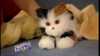 FurReal Kitten Commercial [upl. by Kevin]