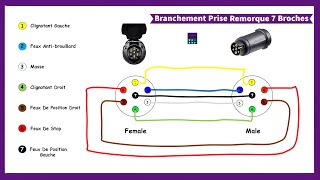 Comment Brancher Une Prise De Remorque Voiture 7 Broches I Schéma Electrique [upl. by Sefton]