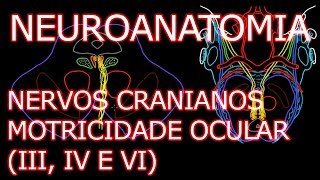 Aula Neuroanatomia  Nervos Oculomotor III Troclear IV e Abducente VI  Neuroanatomia 63 [upl. by Nyvrem]