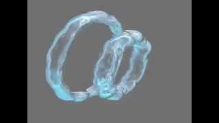 NEW Dolphin discoveryBubble Rings MUST SEE [upl. by Knowlton]