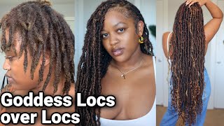 How To Install Individual Goddess Locs FASTER [upl. by Karole]