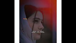 FOZIA SOOMRO SINDHI SONG❤️✨foziasoomrooldsong foryou foryoupage fyp viralvideo viralshorts [upl. by Aronaele]