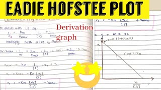 Eadie  Hofstee Plot  Enzymology [upl. by Henke]