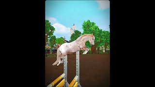 who is she horses sso appaloosa starstableonline equestrians [upl. by Allerim]