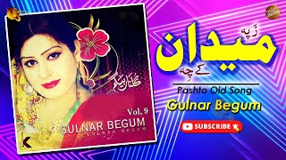 Za Pa Maidan Ke Chi  Gulnar Begum  Pashto Old Song [upl. by Yared]