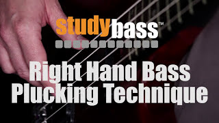 Plucking Right Hand Bass Technique  StudyBass [upl. by Ace127]