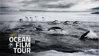 International OCEAN FILM TOUR Volume 1  LAST OCEAN Trailer  selected by GEO [upl. by Otrebireh]