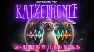 11 Stunden Tiefenentspannung für KatzenMenschen Katzenschnurren amp Heilende FrequenzenKatzophonie [upl. by Anatola]