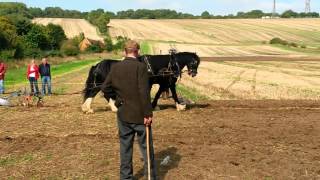 Heavy Horses  Working horseJethro Tull tribute video [upl. by Leind48]