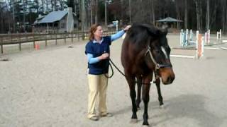 Detecting Lameness in a Horse [upl. by Fons84]