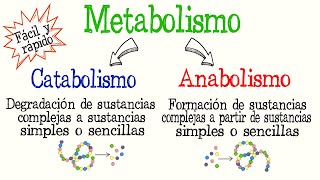 🍔¿Qué es el Metabolismo Catabolismo y Anabolismo diferencias Fácil y Rápido  BIOLOGÍA  QUÍMICA [upl. by Lehcem]