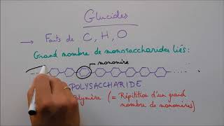 Molécules du vivant 2  Les glucides [upl. by Remoh]