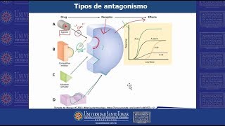 Farmaco Antagonistas y Agonistas USTABuca [upl. by Navaj111]