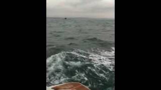 Crownline 340 passes submarine [upl. by Toland]