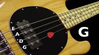 Bass Tuner  Standard Bass Tuning E A D G 4 Strings [upl. by Lothario]