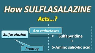 How Sulfasalazine acts  A sulfonamide with unique action [upl. by Ahsienaj174]